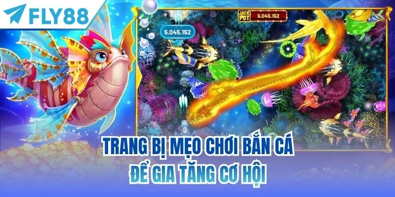 Trang bị mẹo chơi bắn cá để gia tăng cơ hội